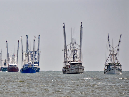 Gulf Shrimpers  (credit: U.S. Coast Guard)