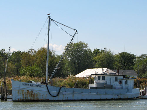 Chesapeake Bay Buyboat