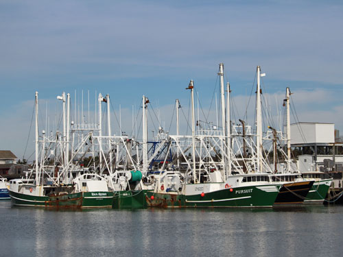 cape may new jersey commercial fishing boats