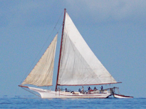 chesapeake bay skipjack sailboat