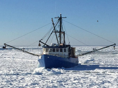 F/V Misty Blue Iced In  (credit: U.S. Coast Guard Aids to Navigation Team Woods Hole)
