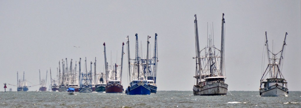 gulf of mexico shrimp boats