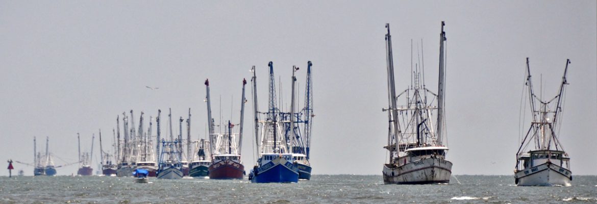 gulf of mexico shrimp boats