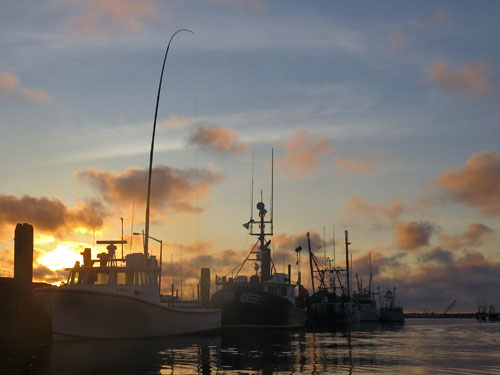 harbor-sunrise