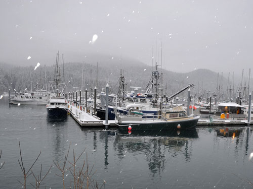 juneau alaska harbor