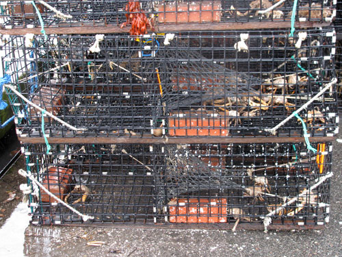 lobster traps