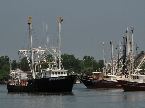 newport news va commercial fishing boats