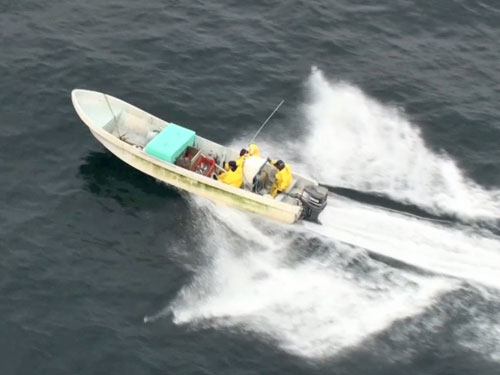 panga boat