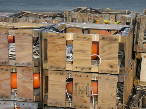 Plywood Conch Pots