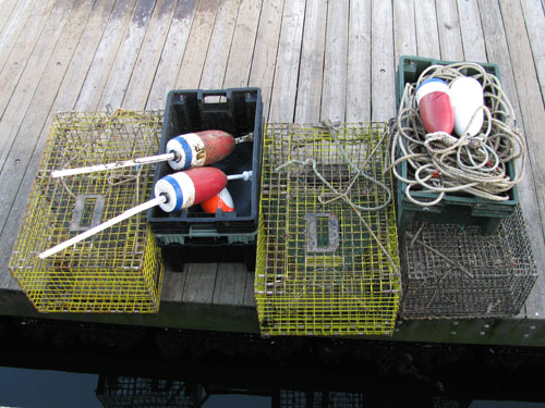 inshore lobster pots buoys