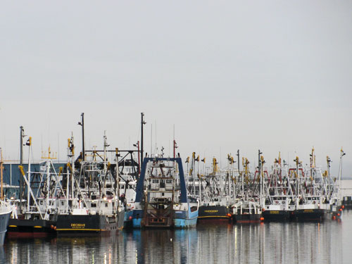 New Bedford Scallop Boats and Commercial Fishing Boats