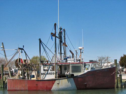 novi fishing boat