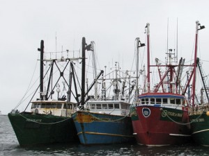 commercial fishing boats docked