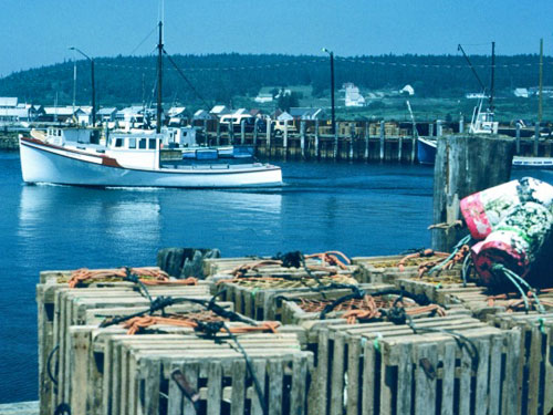 wooden lobster traps