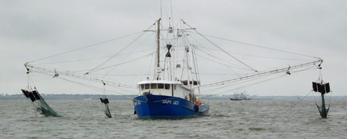 Mississippi Sound shrimp boats