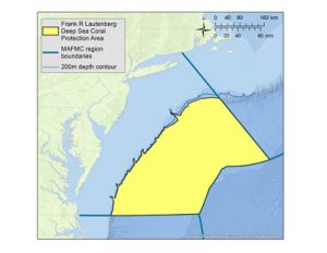 MAFMC Deep Sea Coral Protection Area